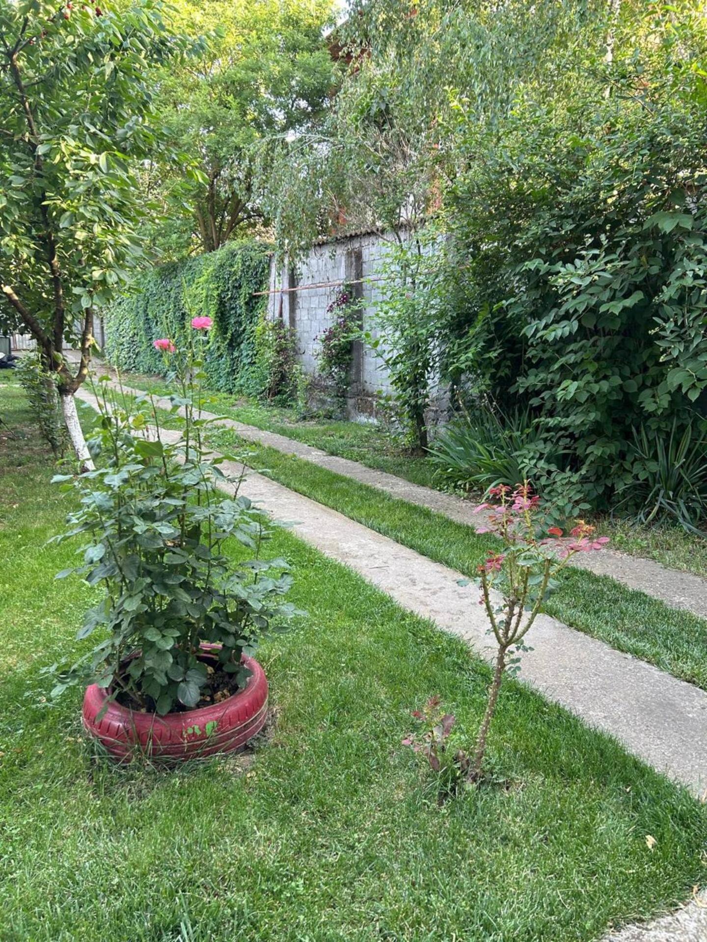 Vila De Inchiriat Aproape De Therme Balotesti Bagian luar foto